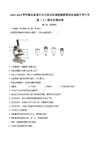 2023-2024学年湖北省黄石市大冶市还地桥镇教联体还地桥中学八年级（上）期末生物试卷(含解析）