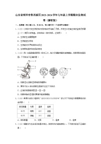 58，山东省菏泽市鲁西新区2023-2024学年七年级上学期期末生物试卷