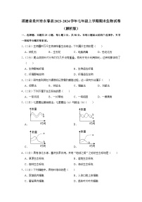 59，福建省泉州市永春县2023-2024学年七年级上学期期末生物试卷