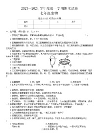 河南省商丘市民权县2023-2024学年七年级上学期期末生物试题