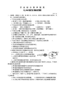 山东省枣庄市薛城区2023-2024学年七年级上学期期末考试生物试题