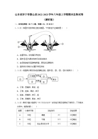 山东省济宁市微山县2022-2023学年八年级上学期期末生物试卷