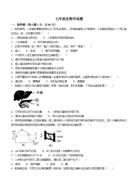 山东省淄博市周村区2023-2024学年七年级上学期期末考试生物试题