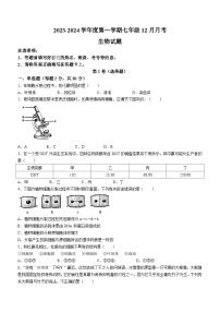 安徽省安庆市二中东区2023-2024学年七年级上学期12月月考生物试题