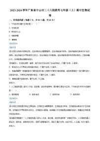 广东省中山市三十八校联考2023-2024学年七年级上学期期中生物试题