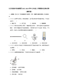 江苏省泰州市姜堰区2023-2024学年七年级上学期期末生物试卷