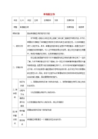 人教版 (新课标)七年级上册第四节 单细胞生物教学设计