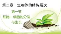 初中冀少版四.细胞的分裂与生长示范课课件ppt