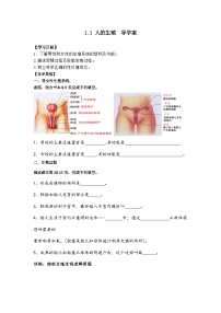 人教版 (新课标)七年级下册第二节 人的生殖学案