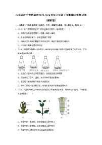 山东省济宁市曲阜市2023-2024学年八年级上学期期末生物试卷