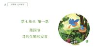 生物人教版 (新课标)第四节 鸟的生殖和发育优秀ppt课件