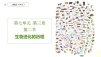 初中生物人教版 (新课标)八年级下册第七单元 生物圈中生命的延续和发展第三章 生命起源和生物进化第二节 生物进化的历程获奖课件ppt