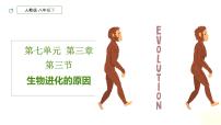 初中生物人教版 (新课标)八年级下册第三节 生物进化的原因精品课件ppt