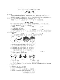 河南省平顶山市郏县2023-2024学年七年级上学期期末学情检测生物+试题