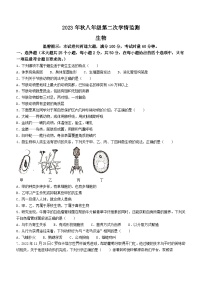 湖南省邵阳市邵东市2023-2024学年八年级上学期12月月考生物试题