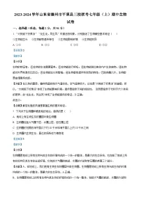 山东省德州市平原县三校联考2023-2024学年七年级上学期期中生物试题