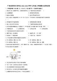 广东省深圳市龙华区2022-2023学年七年级上学期期末生物试卷（原卷+解析）