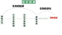 人教版 (新课标)第七单元 生物圈中生命的延续和发展第三章 生命起源和生物进化第二节 生物进化的历程教学演示ppt课件