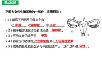 人教版 (新课标)第三节 青春期课文配套ppt课件