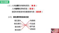 初中生物人教版 (新课标)七年级下册第二节 消化和吸收课前预习ppt课件