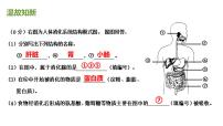 生物七年级下册第三节 合理营养与食品安全评课ppt课件