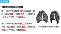 人教版 (新课标)七年级下册第二节 发生在肺内的气体交换备课课件ppt