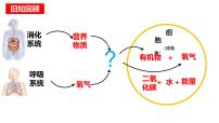 初中生物人教版 (新课标)七年级下册第一节 流动的组织──血液课堂教学ppt课件