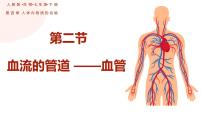 生物七年级下册第四单元 生物圈中的人第四章 人体内物质的运输第二节 血流的管道──血管授课ppt课件