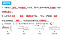 人教版 (新课标)七年级下册第三节 输送血液的泵──心脏课堂教学课件ppt