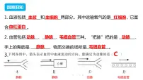 人教版 (新课标)七年级下册第三节 输送血液的泵──心脏课堂教学课件ppt