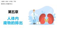 人教版 (新课标)七年级下册第五章 人体内废物的排出课堂教学ppt课件