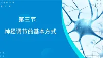 人教版 (新课标)七年级下册第三节 神经调节的基本方式集体备课课件ppt