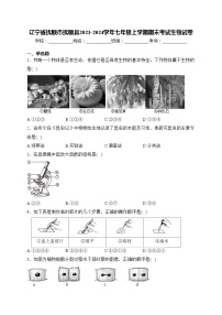 辽宁省抚顺市抚顺县2023-2024学年七年级上学期期末考试生物试卷(含答案)