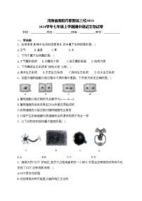 河南省南阳市新野县三校2023-2024学年七年级上学期期中测试生物试卷(含答案)