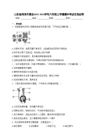 山东省菏泽市曹县2023-2024学年八年级上学期期中考试生物试卷(含答案)