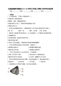 云南省昭通市昭阳区2023-2024学年八年级上学期12月月考生物试卷(含答案)