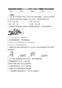陕西省渭南市临渭区2023-2024学年八年级上学期期末考试生物试卷(含答案)