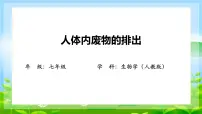 初中生物人教版 (新课标)七年级下册第五章 人体内废物的排出图片课件ppt