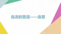 初中生物人教版 (新课标)七年级下册第四单元 生物圈中的人第四章 人体内物质的运输第二节 血流的管道──血管课文内容ppt课件