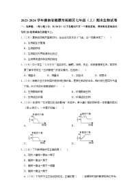 湖南省湘潭市雨湖区2023-2024学年七年级上学期期末生物试卷