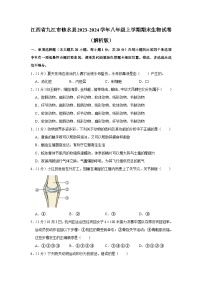 江西省九江市修水县2023-2024学年八年级上学期期末生物试卷