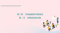 人教版 (新课标)八年级下册第二节 生物进化的历程作业课件ppt