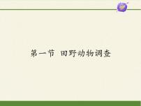 冀少版第一单元  我们身边的生命世界第四章 多种多样的动物第一节 田野动物调查教案配套课件ppt