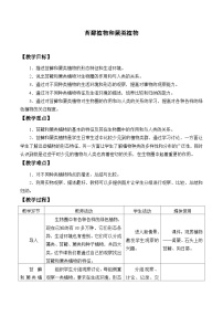 初中生物冀少版七年级上册第四节 苔藓植物与蕨类植物教案