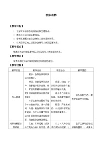 冀少版七年级上册第四节 软体动物教案