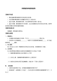 生物冀少版第四节 苔藓植物与蕨类植物教学设计