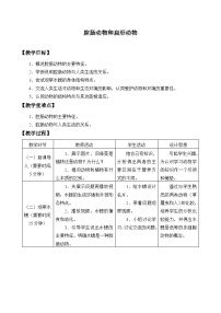 冀少版七年级上册第二节  腔肠动物和扁形动物教学设计