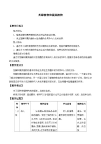 冀少版七年级上册第四节 苔藓植物与蕨类植物教案设计