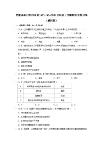 安徽省亳州市利辛县2023-2024学年七年级上学期期末生物试卷