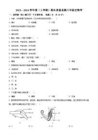 吉林省长春市朝阳区2023-2024学年八年级上学期期末生物试题（原卷版+解析版）